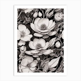 Black And White Flowers Art Print