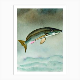 Cookie Cutter Shark II Storybook Watercolour Art Print