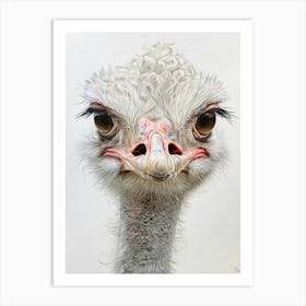 Ostrich Art Print