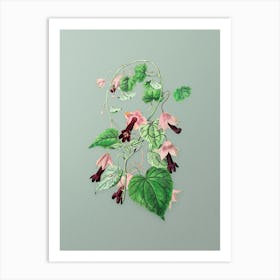 Vintage Twinning Red Cloak Flower Botanical Art on Mint Green n.0630 Art Print