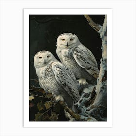 Snowy Owls 5 Art Print