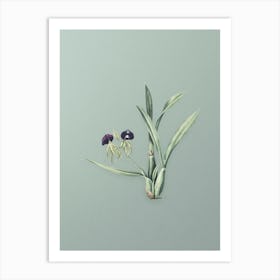 Vintage Clamshell Orchid Botanical Art on Mint Green n.0872 Art Print