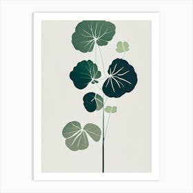 Lady's Mantle Herb Simplicity Art Print