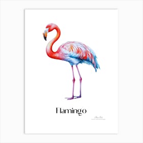 Flamingo. Long, thin legs. Pink or bright red color. Black feathers on the tips of its wings.10 Art Print