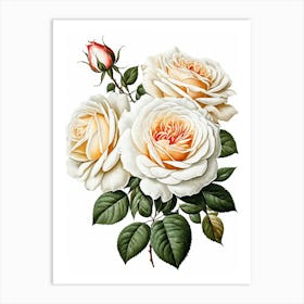 Vintage Galleria Style Rose Art Painting 4 Art Print