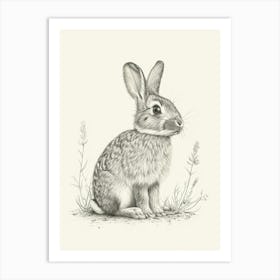 Britannia Petite Rabbit Drawing 3 Art Print