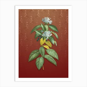 Vintage Laurustinus Botanical on Falu Red Pattern Art Print
