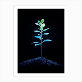 Tree Growing In The Dark 3 Art Print