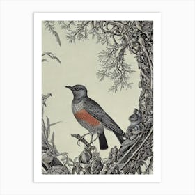 Cuckoo 2 Haeckel Style Vintage Illustration Bird Art Print