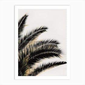 Palm Tree Leaves Art Print