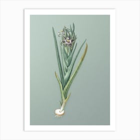 Vintage Ferraria Botanical Art on Mint Green Art Print