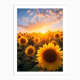 Sunflowers At Sunset Art Print