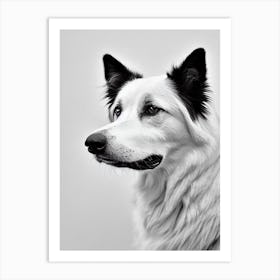 Border Collie B&W Pencil Dog Art Print