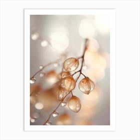 Drops On Leafs No 3 Art Print