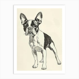 Boston Terrier Dog Line Sketch 1 Art Print