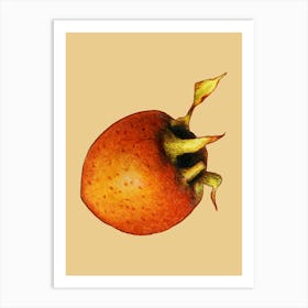 Pomegranate 11 Art Print