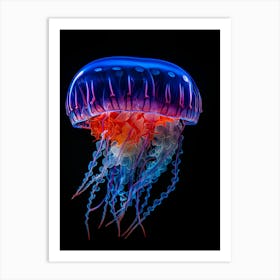 Jellyfish Art Print