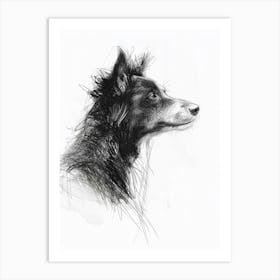 Miniature American Shepherd Dog Charcoal Line 2 Art Print