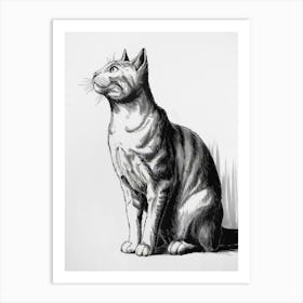 Tabby Cat Art Print