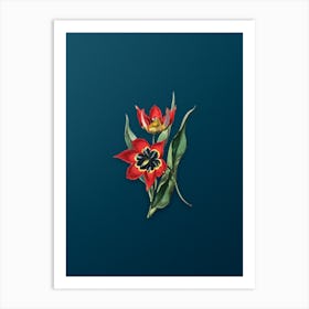 Vintage Red Strong Smelling Tulip Botanical Art on Teal Blue n.0880 Art Print