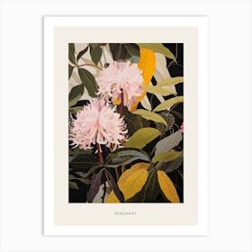 Flower Illustration Bergamot 4 Poster Art Print