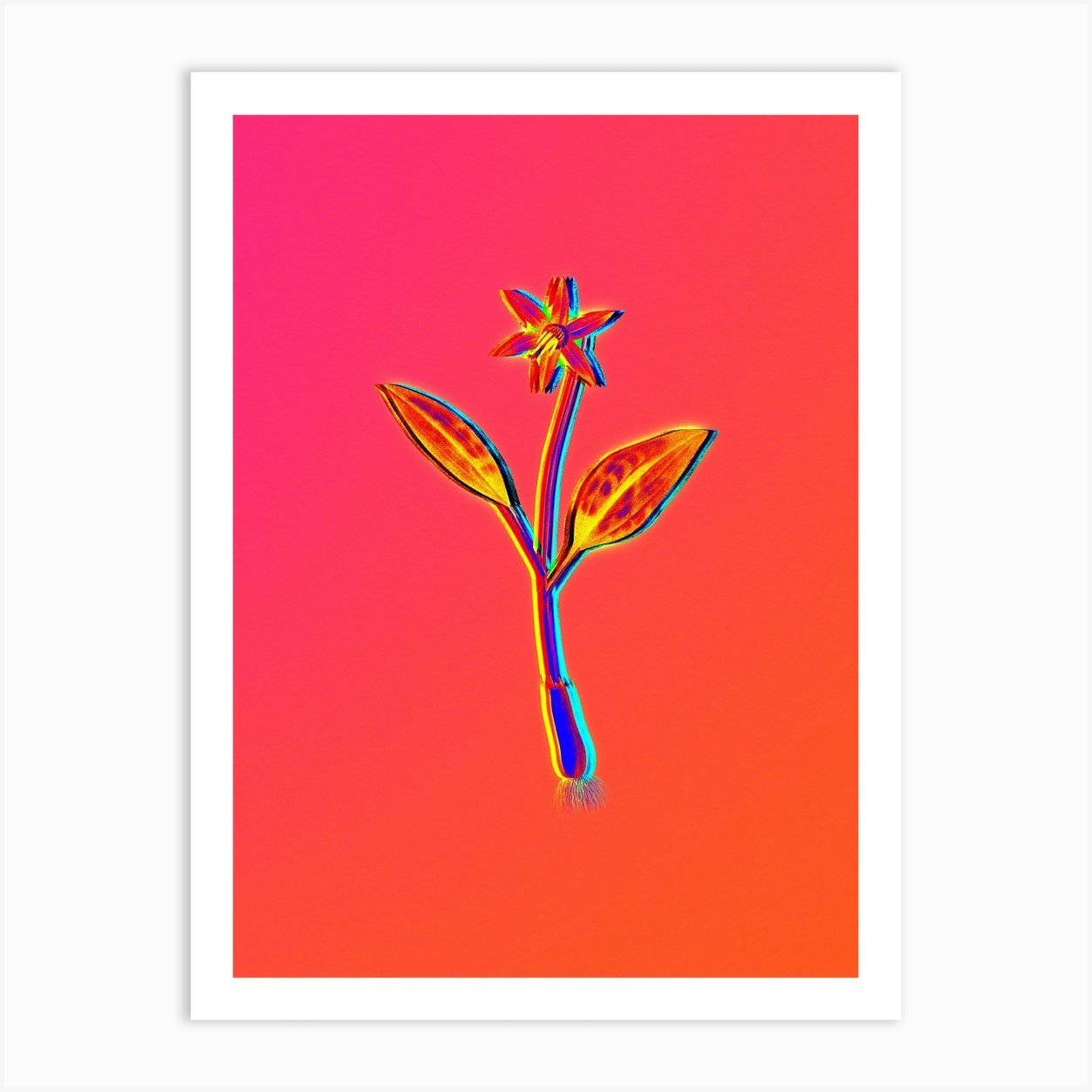 Neon Print Art | Shop Fy