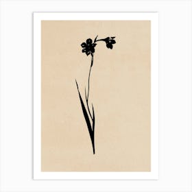 Daffodils Art Print