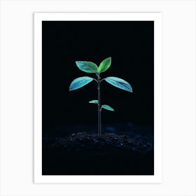 Plant Sprouting On Black Background Art Print