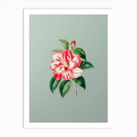 Vintage Japanese Camelia Botanical Art on Mint Green n.0184 Art Print