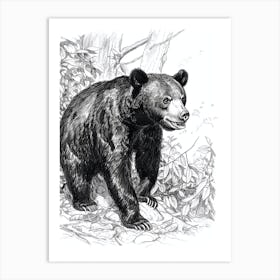 Malayan Sun Bear Standing In A Forests Ink Illustration 1 Art Print