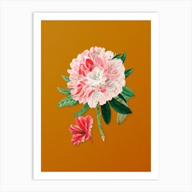 Vintage Rhododendron Flower Botanical on Sunset Orange n.0975 Art Print