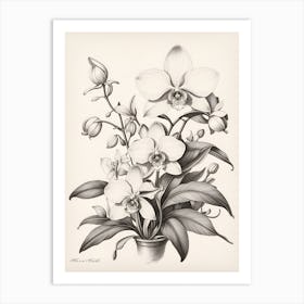 Orchids Art Print