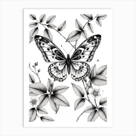 Butterfly On A Branch Art Print