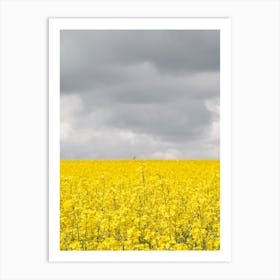 Grey And Yellow Fields Art Print