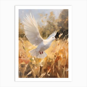 Bird Painting Dove 1 Art Print