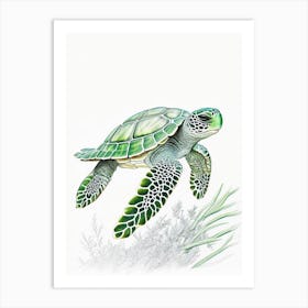 Green Sea Turtle (Chelonia Mydas), Sea Turtle Quentin Blake Illustration 1 Art Print