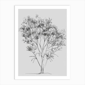 Eucalyptus Tree Minimalistic Drawing 2 Art Print