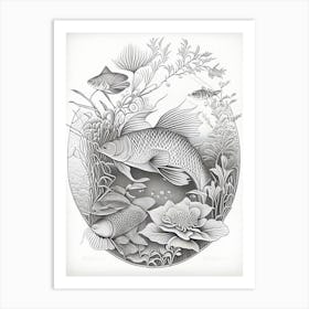 Tancho Sanke Koi Fish Haeckel Style Illustastration Art Print