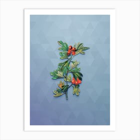 Vintage Morocco Hawthorn Flower Botanical Art on Summer Song Blue Art Print