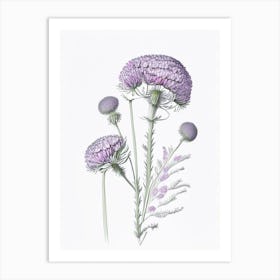 Scabiosa Floral Quentin Blake Inspired Illustration 3 Flower Art Print