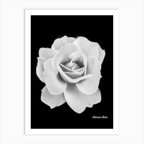 Black And White Rose Art Print