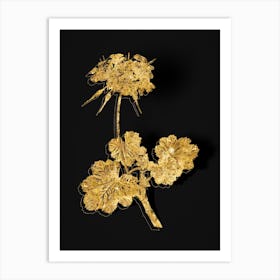 Vintage Scarlet Geranium Botanical in Gold on Black n.0284 Art Print