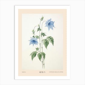 Kikyo Chinese Bellflower 1 Vintage Japanese Botanical Poster Art Print