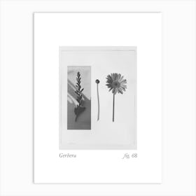 Gerbera Botanical Collage 2 Art Print