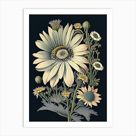 Osteospermum 1 Floral Botanical Vintage Poster Flower Art Print