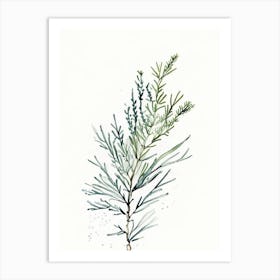 Juniper Herb Minimalist Watercolour 2 Art Print