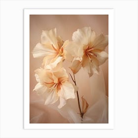 Boho Dried Flowers Amaryllis 1 Art Print