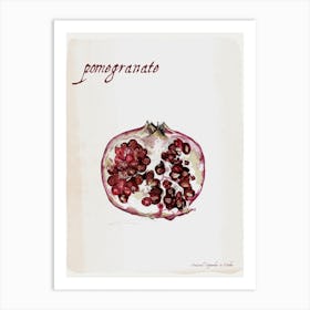 Pomegranate Art Print