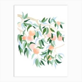 Mediterranean Plant Peach Tree Botanical Painting Art Print