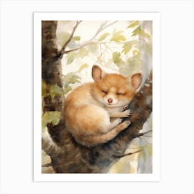 Adorable Chubby Sleeping Possum 2 Art Print
